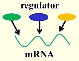ra1