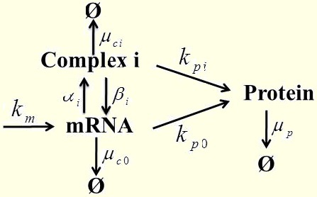 ra2